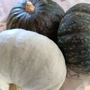 Box Mista Original Delica e Vanity del Moro-Box da 9/18 Kg