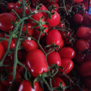 Pomodoro Pachino- disponibili diverse varietà - 10 kg