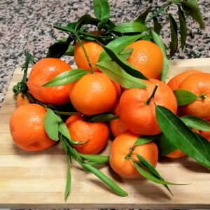 Mandarini (conf.1Kg)